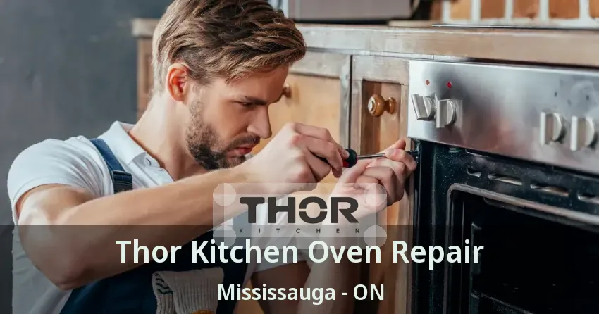 Thor Kitchen Oven Repair Mississauga - ON