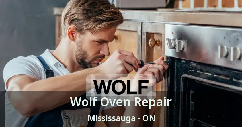 Wolf Oven Repair Mississauga - ON