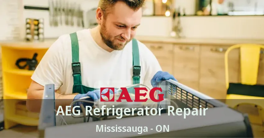AEG Refrigerator Repair Mississauga - ON