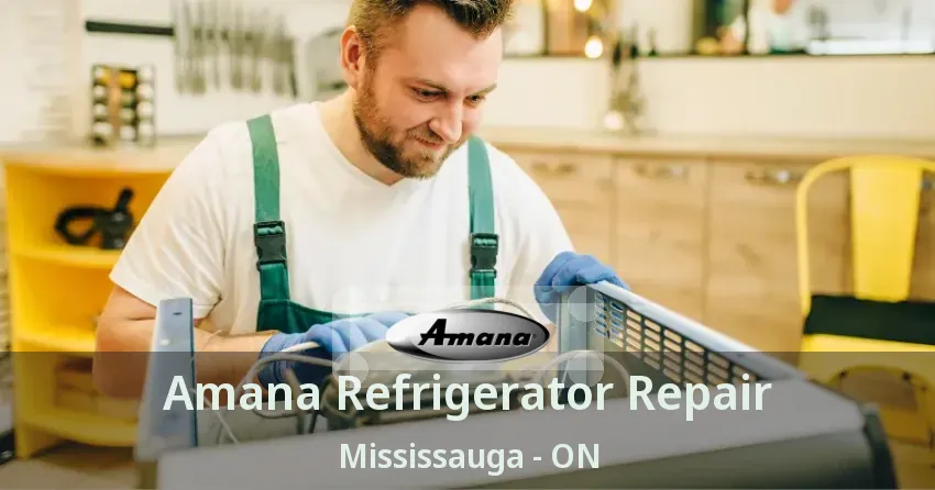 Amana Refrigerator Repair Mississauga - ON