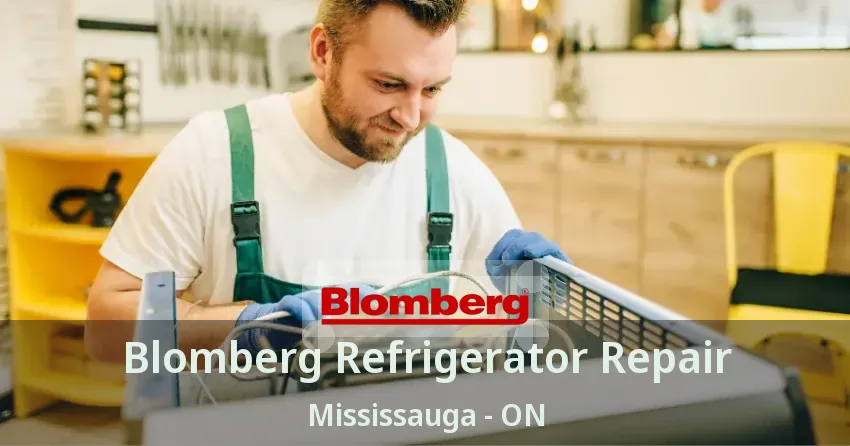 Blomberg Refrigerator Repair Mississauga - ON
