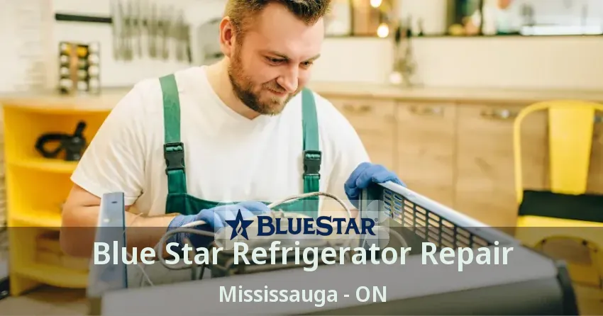 Blue Star Refrigerator Repair Mississauga - ON