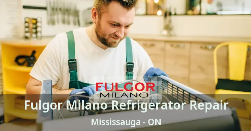 Fulgor Milano Refrigerator Repair Mississauga - ON
