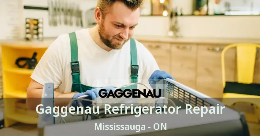 Gaggenau Refrigerator Repair Mississauga - ON