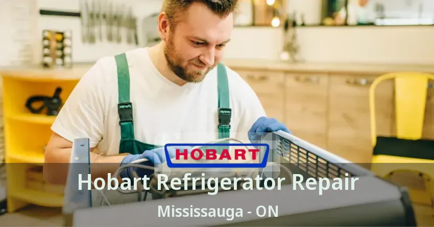 Hobart Refrigerator Repair Mississauga - ON
