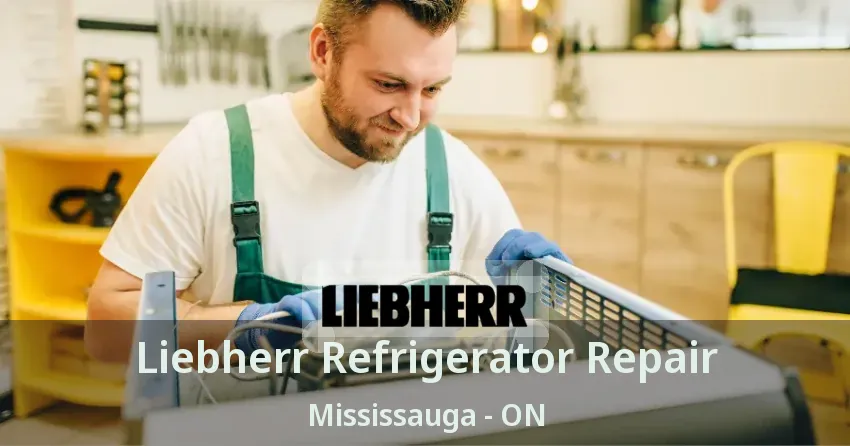 Liebherr Refrigerator Repair Mississauga - ON