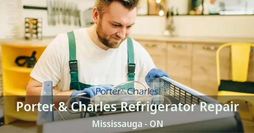 Porter & Charles Refrigerator Repair Mississauga - ON