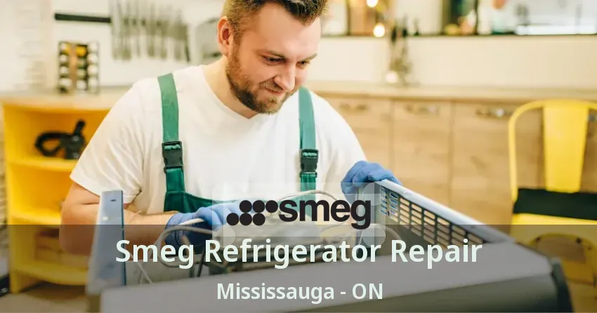 Smeg Refrigerator Repair Mississauga - ON