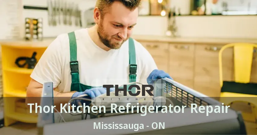 Thor Kitchen Refrigerator Repair Mississauga - ON