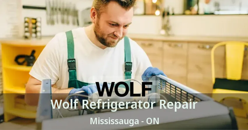 Wolf Refrigerator Repair Mississauga - ON