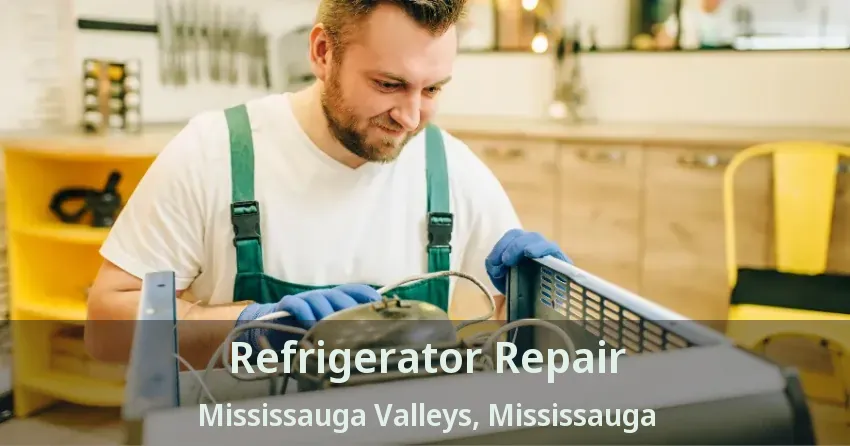 Refrigerator Repair Mississauga Valleys, Mississauga - ON