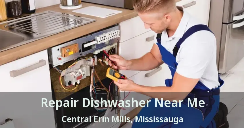 Repair Dishwasher Near Me Central Erin Mills, Mississauga - ON