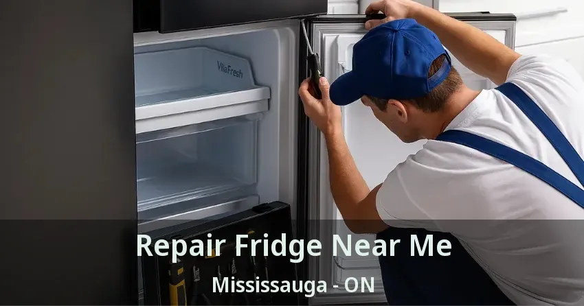Repair Fridge Near Me Mississauga - ON