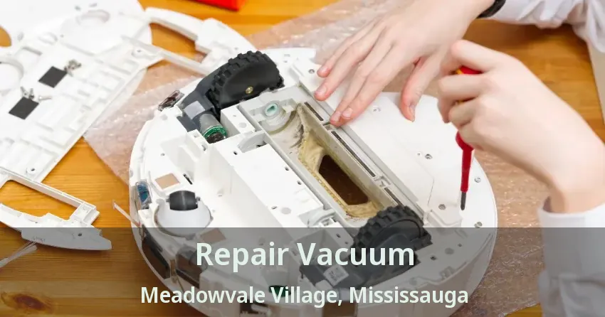 Repair Vacuum Meadowvale Village, Mississauga - ON