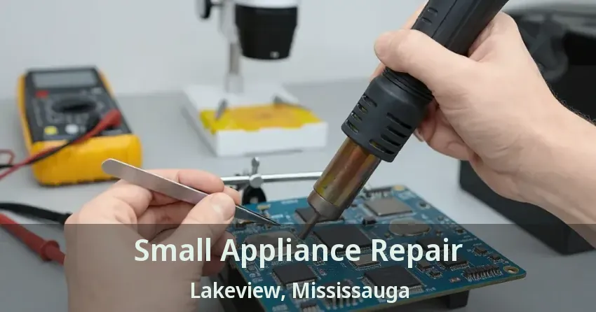 Small Appliance Repair Lakeview, Mississauga - ON