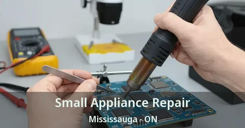 Small Appliance Repair Mississauga - ON