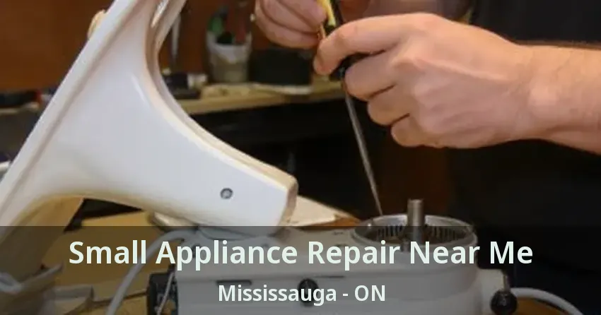 Small Appliance Repair Near Me Mississauga - ON