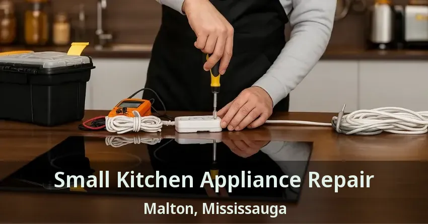 Small Kitchen Appliance Repair Malton, Mississauga - ON