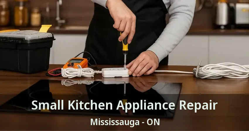 Small Kitchen Appliance Repair Mississauga - ON