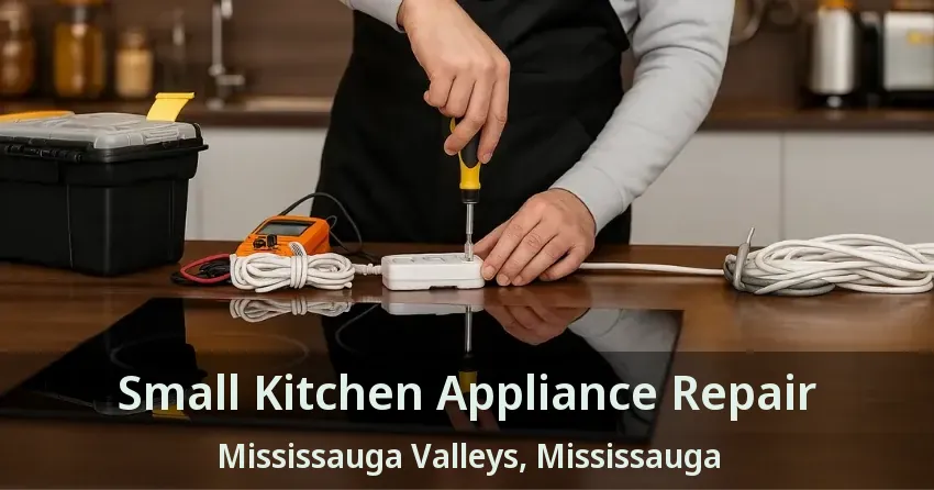 Small Kitchen Appliance Repair Mississauga Valleys, Mississauga - ON