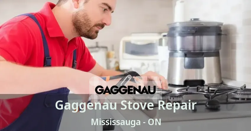 Gaggenau Stove Repair Mississauga - ON