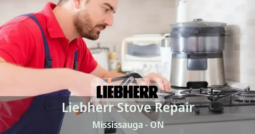 Liebherr Stove Repair Mississauga - ON