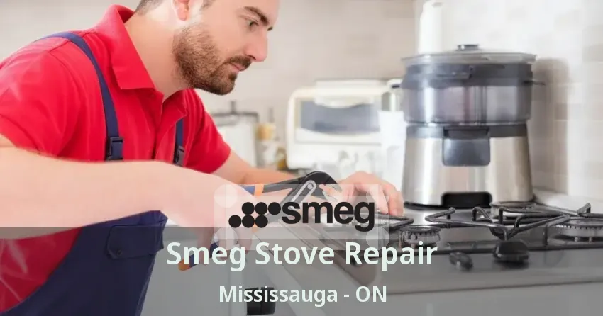 Smeg Stove Repair Mississauga - ON