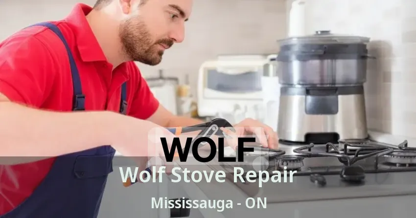 Wolf Stove Repair Mississauga - ON