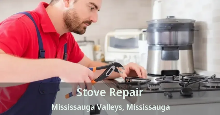 Stove Repair Mississauga Valleys, Mississauga - ON