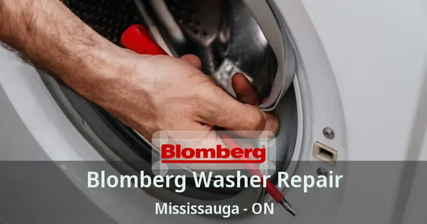 Blomberg Washer Repair Mississauga - ON