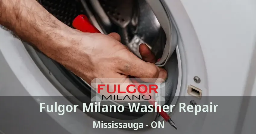 Fulgor Milano Washer Repair Mississauga - ON