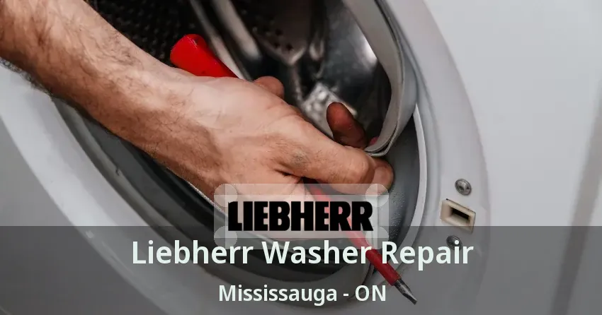 Liebherr Washer Repair Mississauga - ON