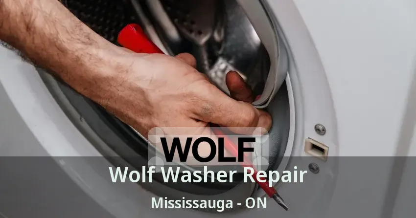 Wolf Washer Repair Mississauga - ON